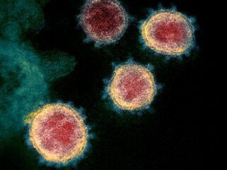 E-sportowcy i&nbsp;streamerzy zachęcają do&nbsp;siedzenia w&nbsp;domu i&nbsp;grania [WIDEO]