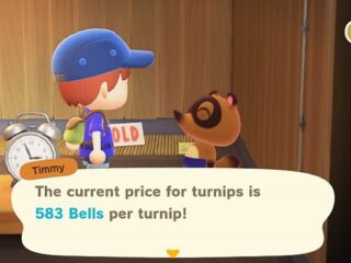 Animal Crossing: New Horizons pomaga bić Nintendo kolejne rekordy sprzedażowe