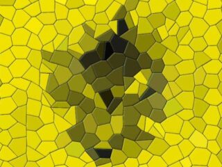 Okładka CDA 01/2021 – a&nbsp;na&nbsp;niej NOWE LOGO!