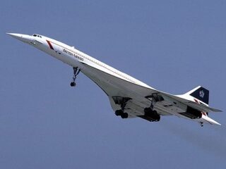 [Na marginesie] Strach przed&nbsp;lataniem cię bierze, zbudź w&nbsp;sobie VR-u zwierzę