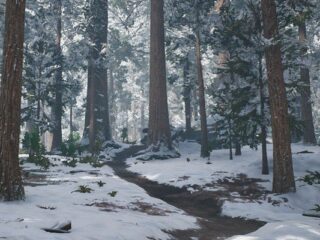 S.O.N: Pensylwański las skrywa mroczną tajemnicę [WIDEO]