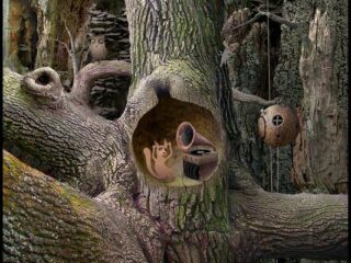 Samorost 1: Remaster do&nbsp;pobrania za&nbsp;darmo [WIDEO][AKTUALIZACJA] Teraz także na&nbsp;GOG-u