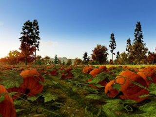 Farm Manager 2018: Już wkrótce zostaniemy rolnikami