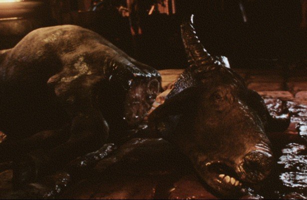 Czas Apokalipsy: Twórcy zarzucają Kickstartera