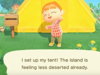 Animal Crossing: New Horizons – Nie&nbsp;zagramy w&nbsp;2019 [WIDEO]