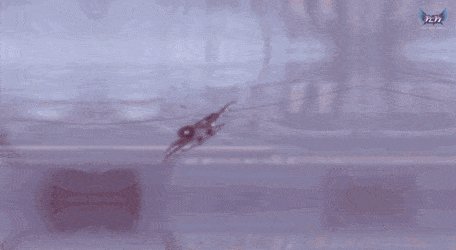 nadgodziny-57_179cr.gif