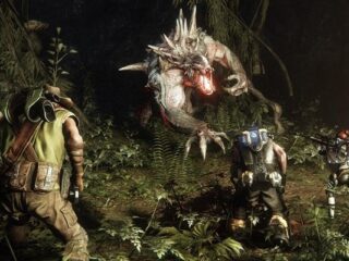 Evolve: Większość funkcji sieciowych idzie do&nbsp;piachu