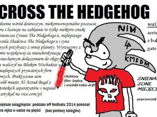 Sonic Forces pozwoli graczowi stworzyć własną postać i&nbsp;włączyć ją&nbsp;do&nbsp;grona przyjaciół Sonica [WIDEO]