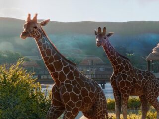 Planet Zoo: 17 minut podglądania wirtualnych zwierzątek [WIDEO]