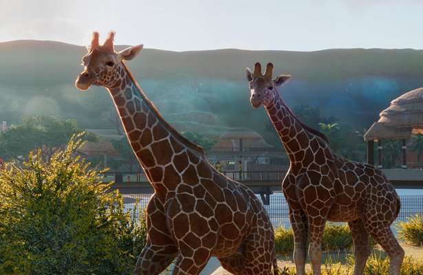Planet Zoo: 17 minut podglądania wirtualnych zwierzątek [WIDEO]