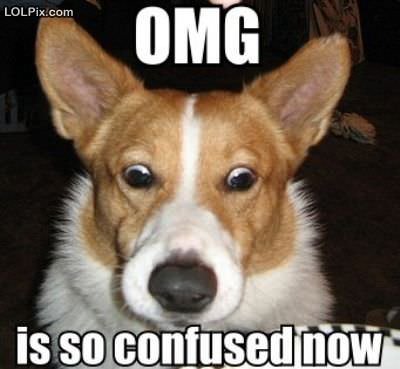 Funny_Pictures_87612_17at9.jpg