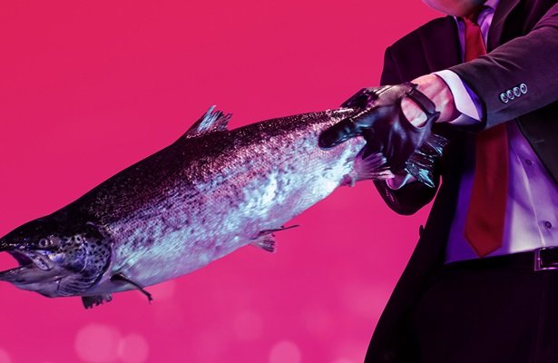 Hitman 2: Tłum ma lepiej reagować na poczynania bohatera [WIDEO]