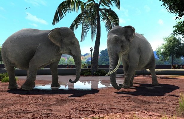 Zoo Tycoon: Ultimate Animal Collection – Spójrzcie na nowy zwiastun [WIDEO]