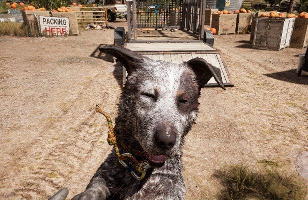 Far Cry 5: No cześć, co nowego? [ARTYKUŁ]