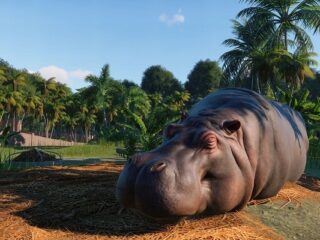 Planet Zoo: Twórcy Planet Coaster… zaraz, czy&nbsp;ten hipopotam zrobił kupę na&nbsp;wizji? [WIDEO]