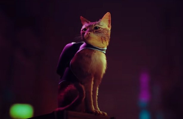 Stray: Gra o kocie w najdziwniejszym mieście świata. Czy mogłoby być lepiej? [WIDEO]