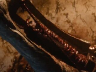 „Cienie umierają dwa razy”. Nowa gra twórców Dark Souls istnieje [POWIEDZMY, ŻE WIDEO]