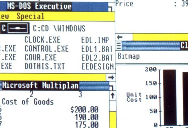 Gabe Newell, założyciel Valve Software, w&nbsp;easter eggu… w&nbsp;Windowsie 1.0