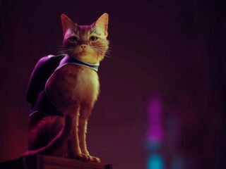 Stray: Mod dodający lokalnego co-opa już dostępny