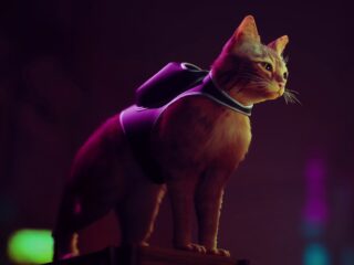 Stray: Znamy wymagania sprzętowe gry o zagubionym kocie