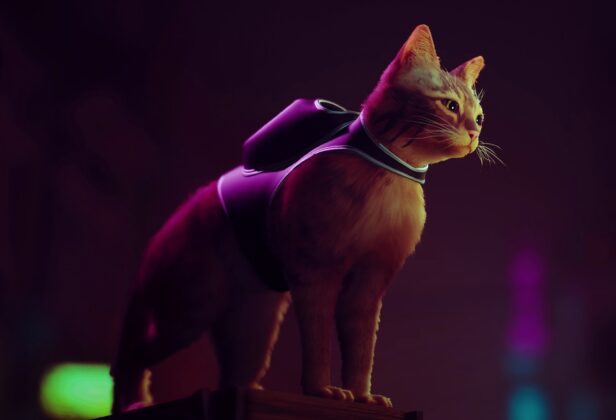 Stray: Znamy wymagania sprzętowe gry o&nbsp;zagubionym kocie