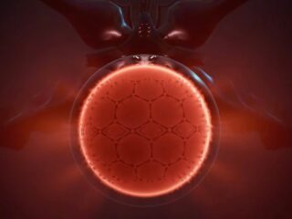 Cocoon: Nowa gra projektanta rozgrywki Limbo i Inside