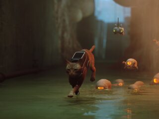 Stray: Wersja na PS5 dostanie wydanie fizyczne