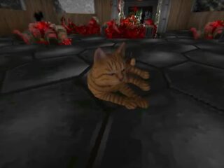 Stray najlepiej ocenianą grą roku na Steamie. I chętnie modowaną…