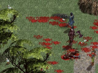 Dink Smallwood HD za darmo na GOG.com