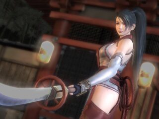 Dead or Alive i Ninja Gaiden: Rebooty obu produkcji mogą stać się faktem