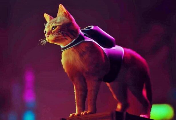 Stray pomaga prawdziwym kotom! Kopie gry idą na&nbsp;cele charytatywne