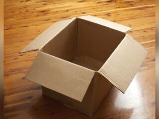 AI pokonana taktyką Solid Snake’a – wystarczył karton