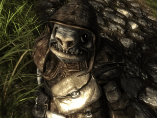 Risen dwukrotnie droższy na Steamie (za to wreszcie z polską wersją)