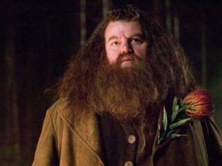 Hogwarts Legacy z hołdem dla aktora, który grał Hagrida