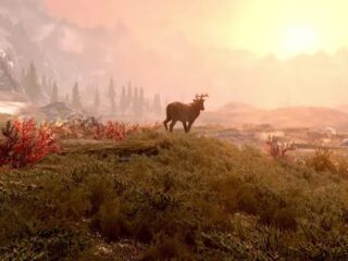 Skyrim: Todd Howard chwali się liczbą sprzedanych egzemplarzy