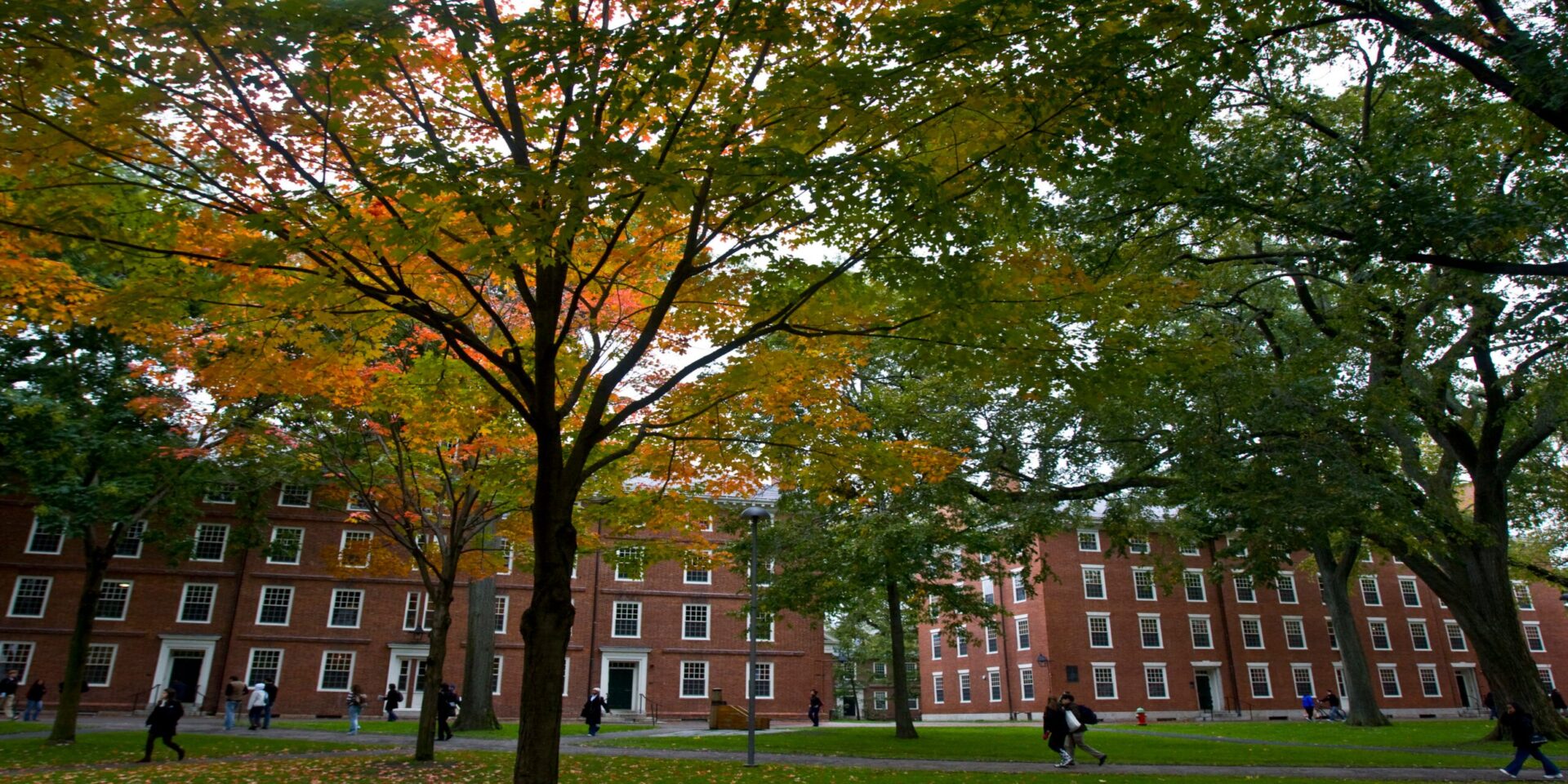 Nowy nauczyciel na Harvardzie jest programem AI