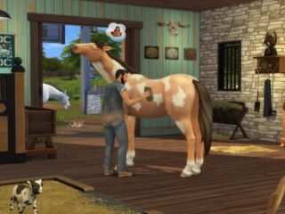 Skarpetki z The Sims 4 na ratunek koniom! EA łączy siły z fundacją VIVA