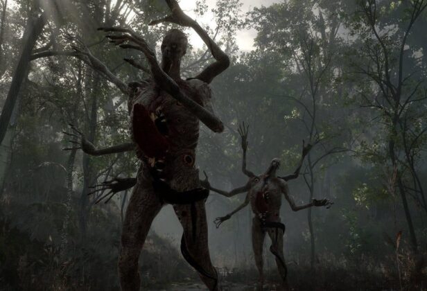 Recenzja Stray Souls – Silent Hill po roku w Polsce