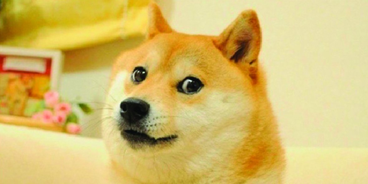 Nie żyje Kabosu, szerzej znana jako „doge” lub „pieseł”
