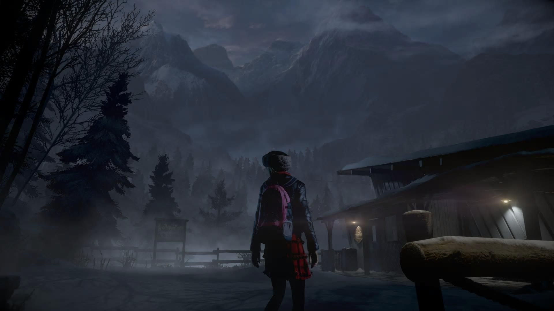 Until Dawn (2015)
