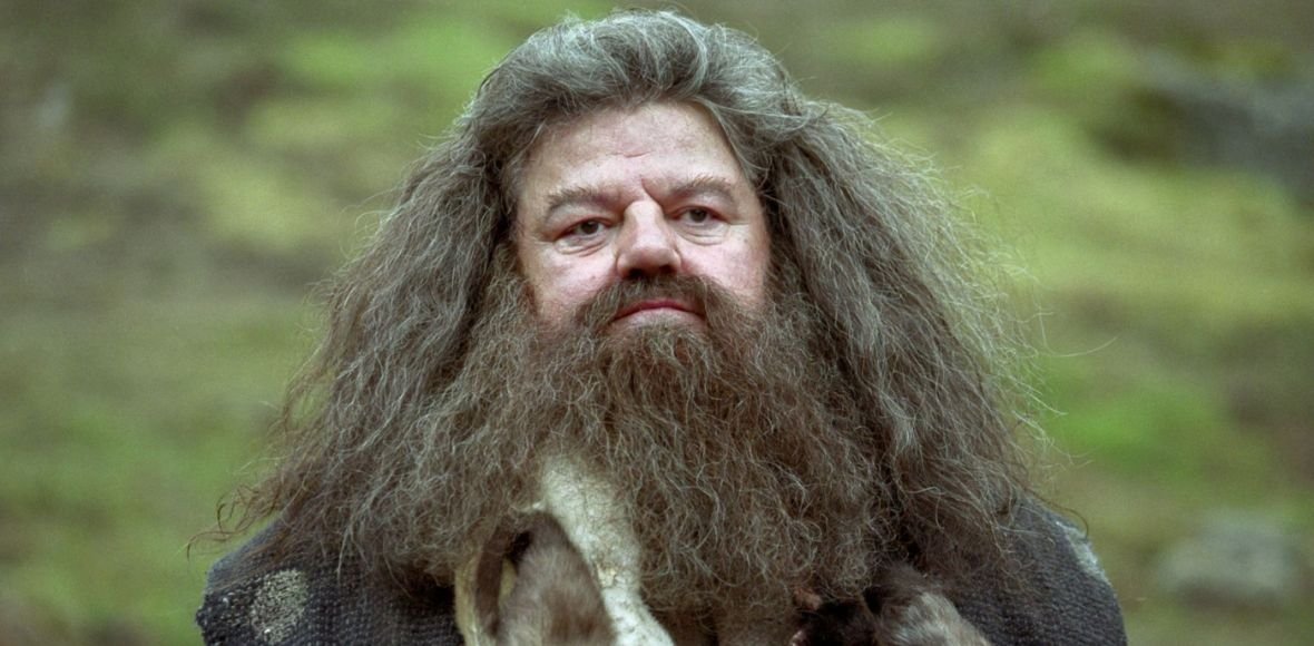 Obsadzono Hagrida w serialowym „Harrym Potterze”. Znacie go z filmu „Wysyp żywych trupów”