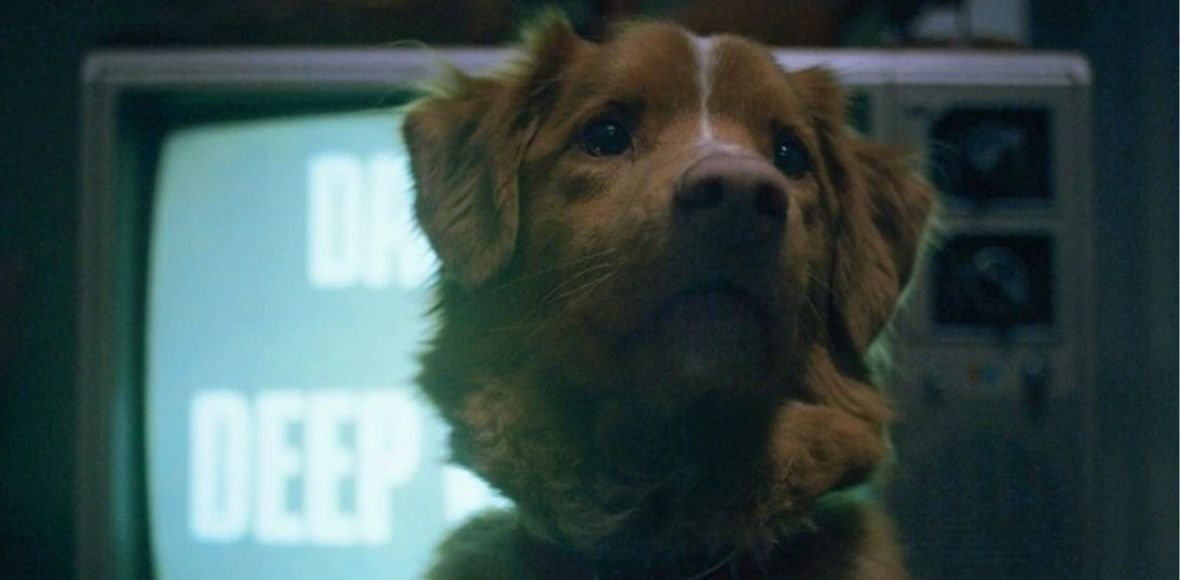 „Good Boy” na pierwszym zwiastunie. Horror opowiedziany z perspektywy psa