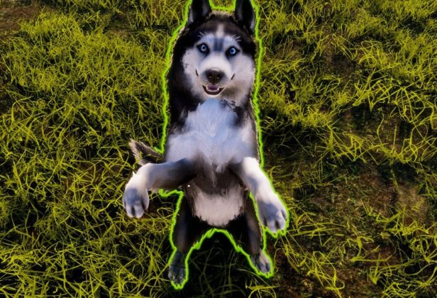 Pieski, kotki i „błędziki”. Animal Shelter 2 to uroczy, acz niedopracowany symulator prowadzenia schroniska dla zwierząt [RECENZJA]