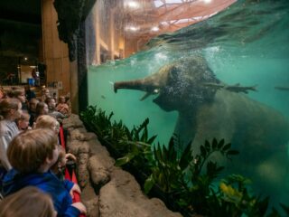 Orientarium ZOO Łódź – Azja jest bliżej, niż myślisz