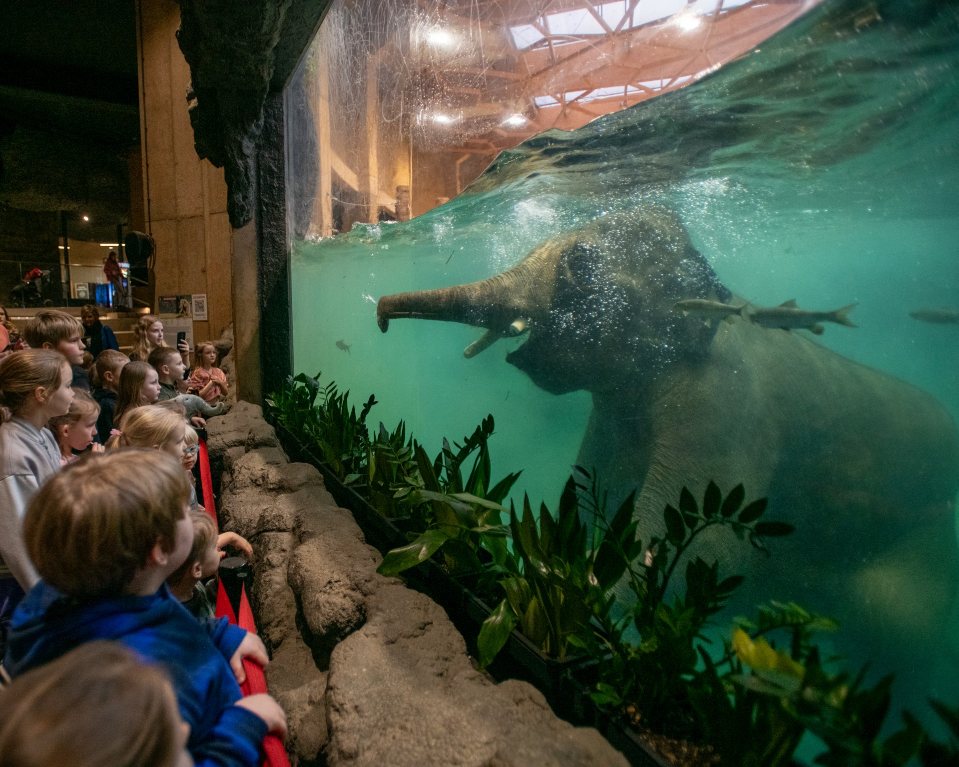 Orientarium ZOO Łódź – Azja jest bliżej, niż myślisz