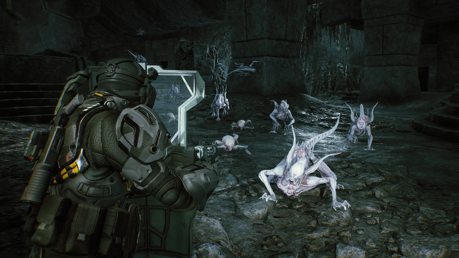 Przed Alien: Isolation 2 czeka nas inna kontynuacja Obcego. Aliens: Fireteam Elite 2 dostało kategorię wiekową