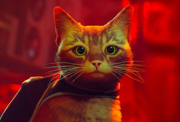 Zawartość listopadowego PS Plusa ujawniona. Fani kotów i szybkich samochodów powinni być zadowoleni