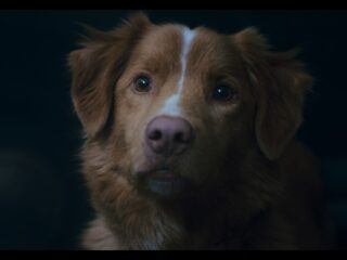 „Good Boy” to horror o piesku, w którym świetnie wypadł jedynie piesek [RECENZJA]