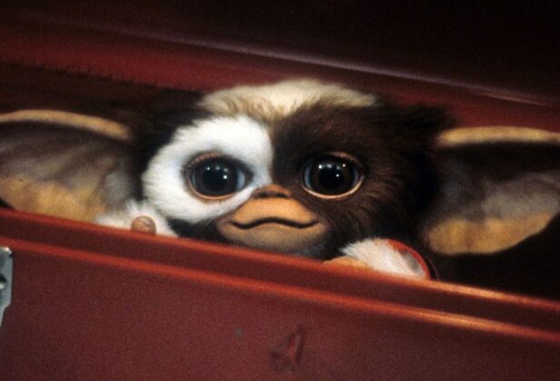 „Gremliny 3” oficjalnie powstaną. Wiemy, kiedy znów będą rozrabiać w kinach