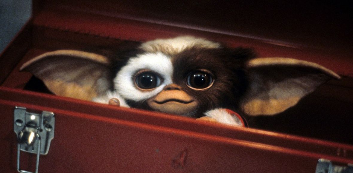 „Gremliny 3” oficjalnie powstaną. Wiemy, kiedy znów będą rozrabiać w kinach